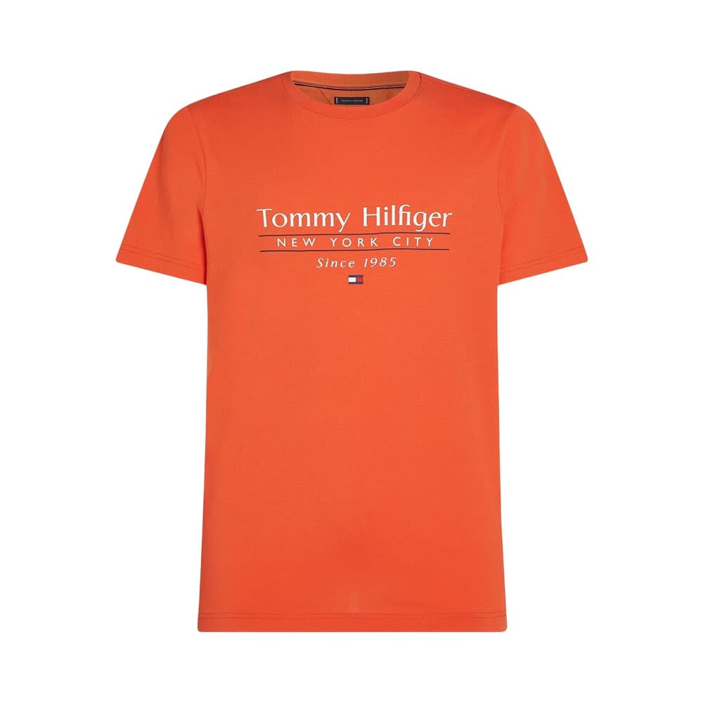 Anúncio: CAMISETA TOMMY HILFIGER MW0MW38621 SCX MASCULINO