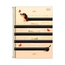 Anúncio: CUADERNO UNIVERSITARIO TILIBRA BROWNIE 39770 160 HOJAS SURTIDO 1 PIEZA