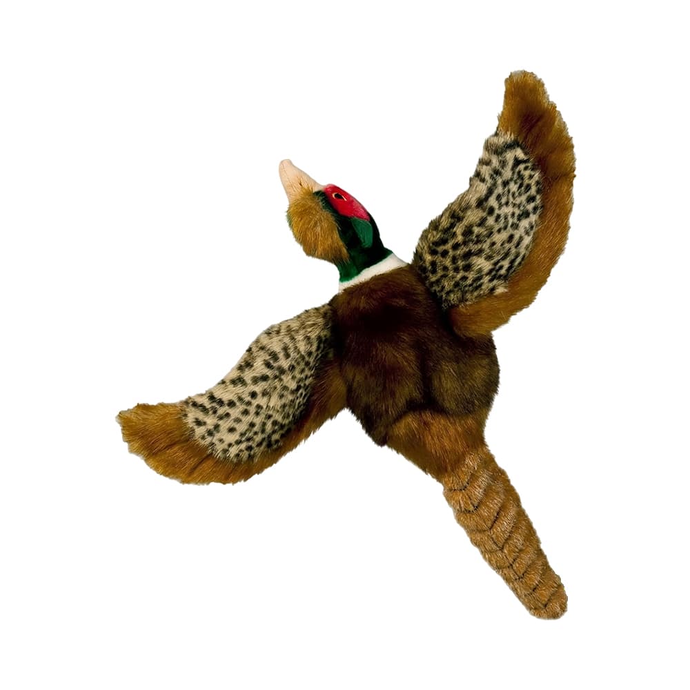 Anúncio: JUGUETE PARA MASCOTAS AFP 4025 CLASSIC PHEASANT