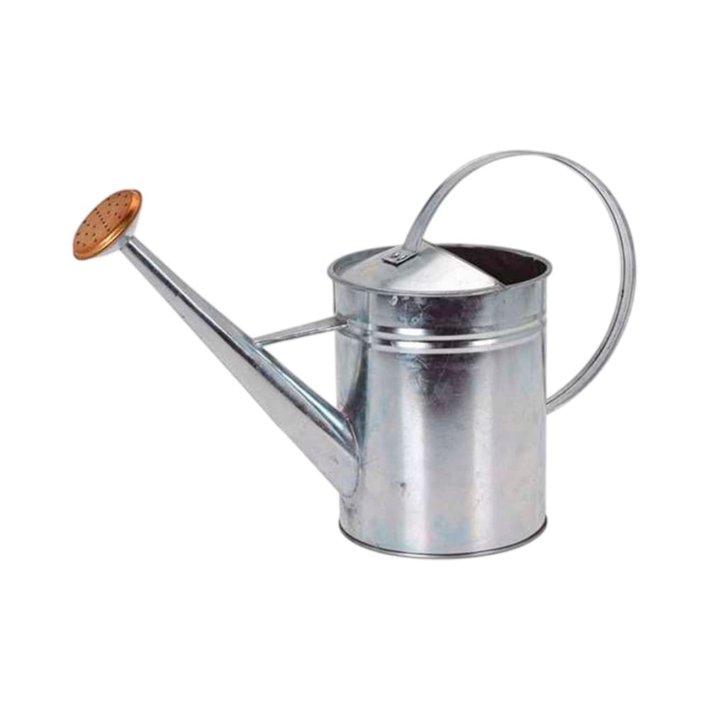 Anúncio: REGADERA KPM 031186 1.9L PLATA