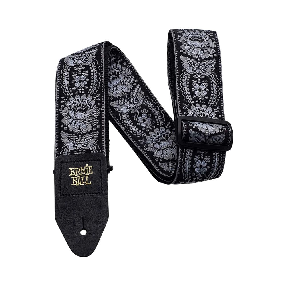 Anúncio: CORREA ERNIE BALL P04150