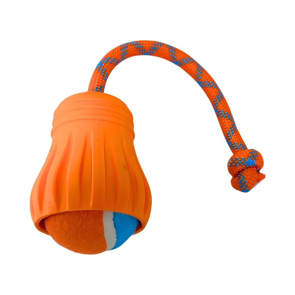 Anúncio: JUGUETE PARA MASCOTAS AFP WOW PLAY-LA FRONDER FETCH