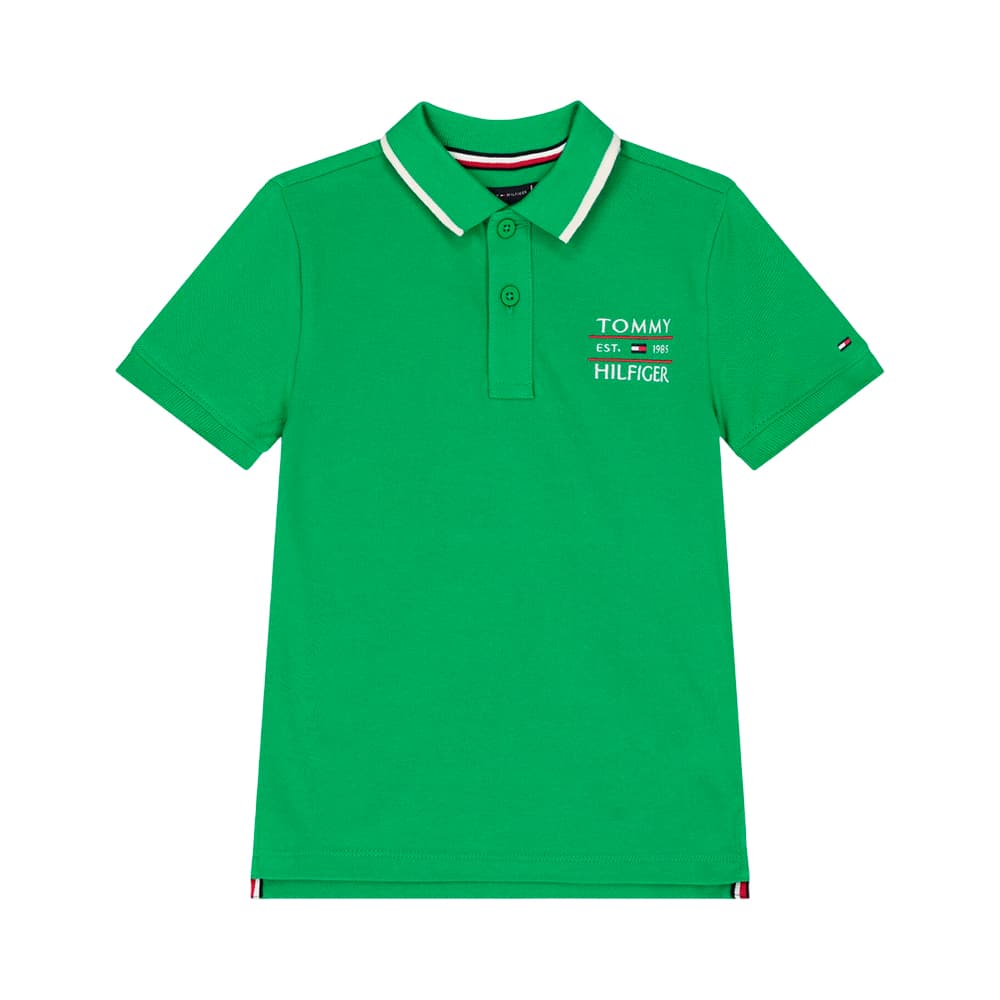 Anúncio: POLO INFANTIL NIÑO TOMMY HILFIGER KB0KB09524 L13