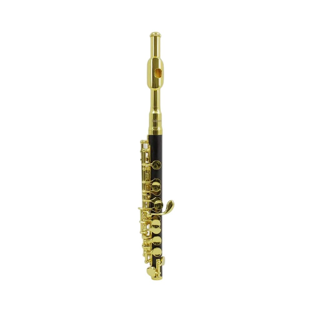 Anúncio: FLAUTA BALDASSARE PICCOLO BMG BLK-GOLD