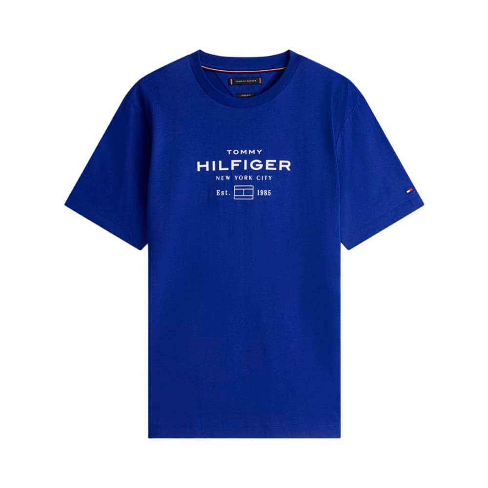 Anúncio: CAMISETA TOMMY HILFIGER MW0MW40002 D03 MASCULINO