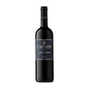 Anúncio: Vino Carmen Gran Reserva Merlot 750ml