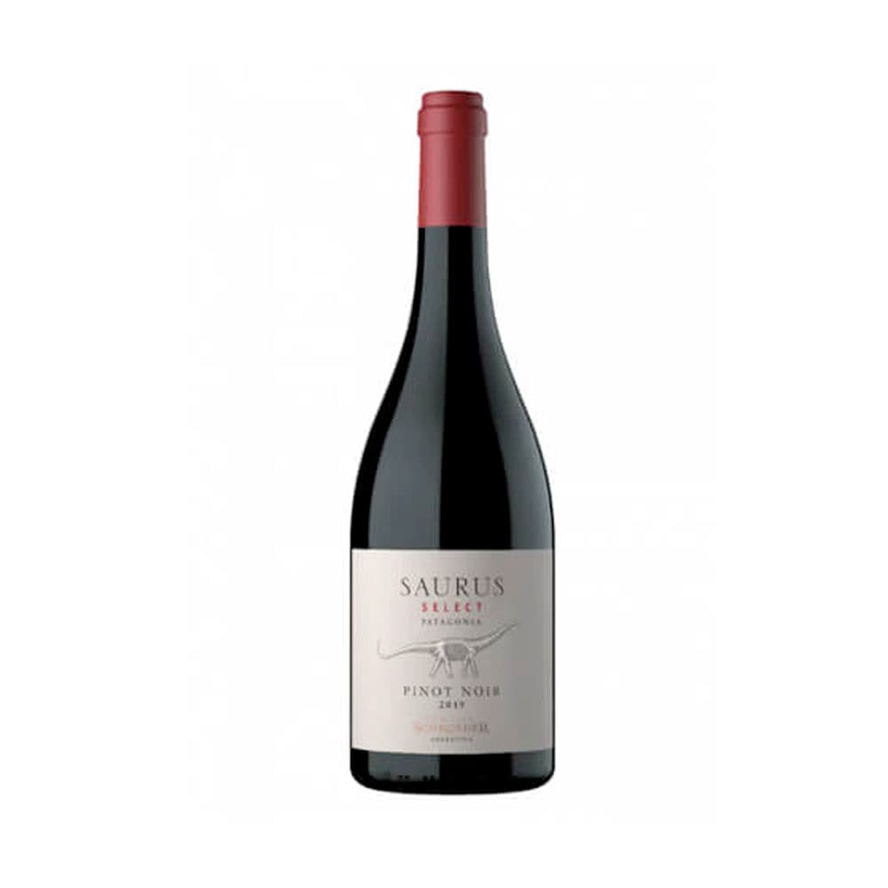 Anúncio: VINO FAMILIA SCHROEDER SAURUS SELECT 750ML