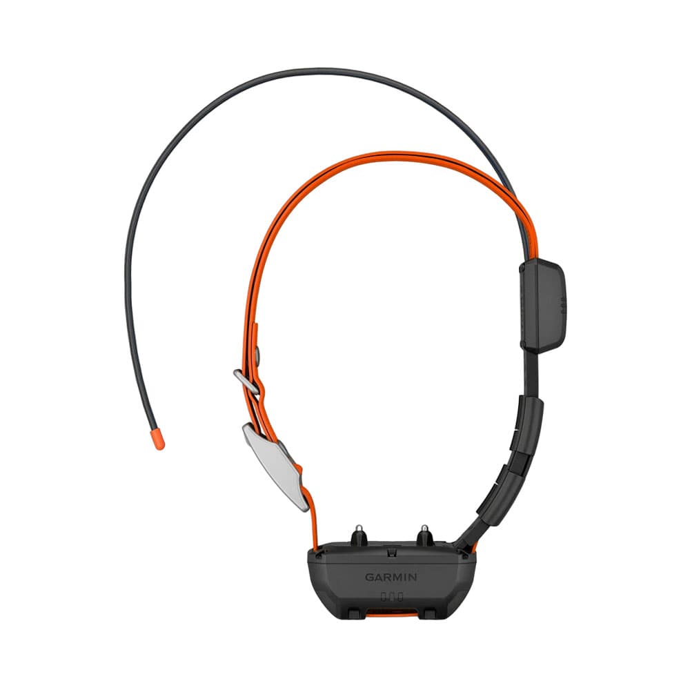 Anúncio: COLLAR PARA PERRO GPS GARMIN 010-02447-20 ALPHA TT25