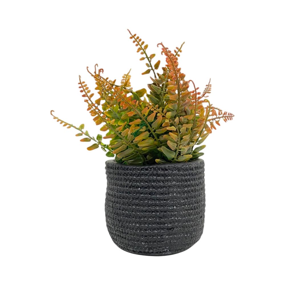 Anúncio: PLANTA ARTIFICIAL EN MACETA CONCEPTS 439-357136 20 CM