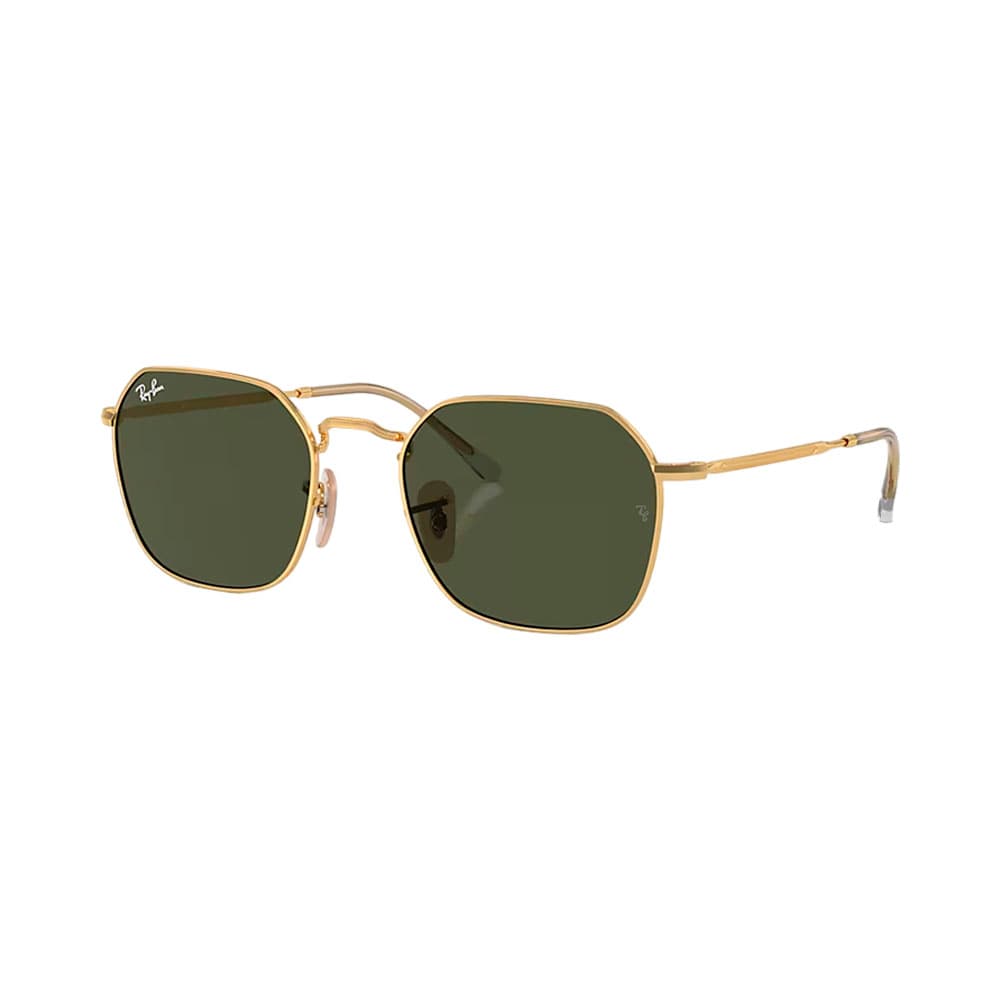 Anúncio: LENTE RAY BAN 3694 001/31 55