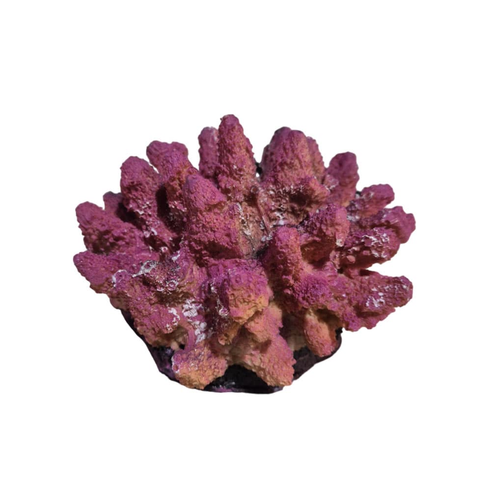 Anúncio: ADORNO PARA ACUARIO PETPARK 1462 CORAL