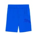 Anúncio: Puma Short Mas Train All Day Big Cat 7 523865A03 (t) L Azul