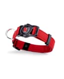Anúncio: Original Collar P/mascota 2.0M 70253 Rojo