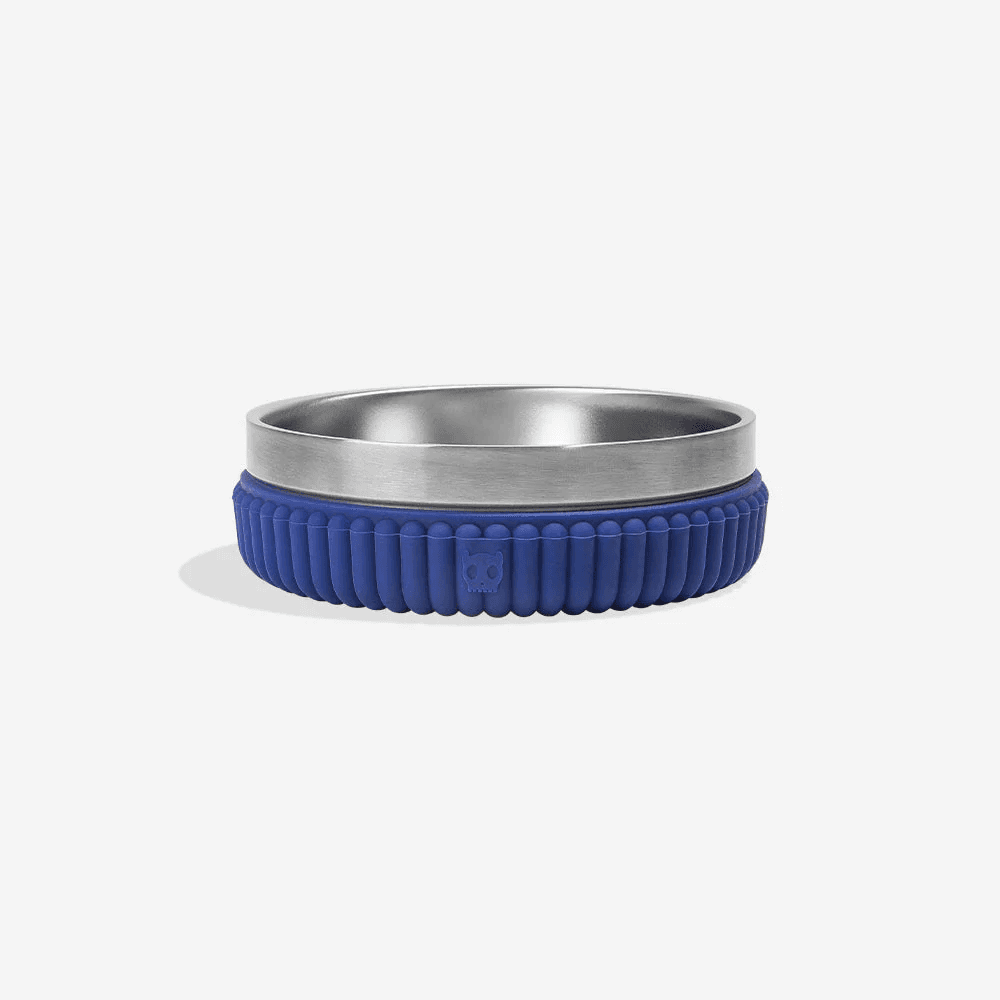 Anúncio: Zeedog Plato P/mascota Blue