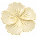 Anúncio: Original Hebilla Piraña K64353-4 Crema