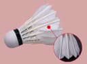 Anúncio: Dhs Pluma De Badminton TR312 12 Unidades