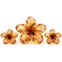 Anúncio: Original Hebilla Set Piraña Con Diseño De Flor K64352 Marron 3PCS