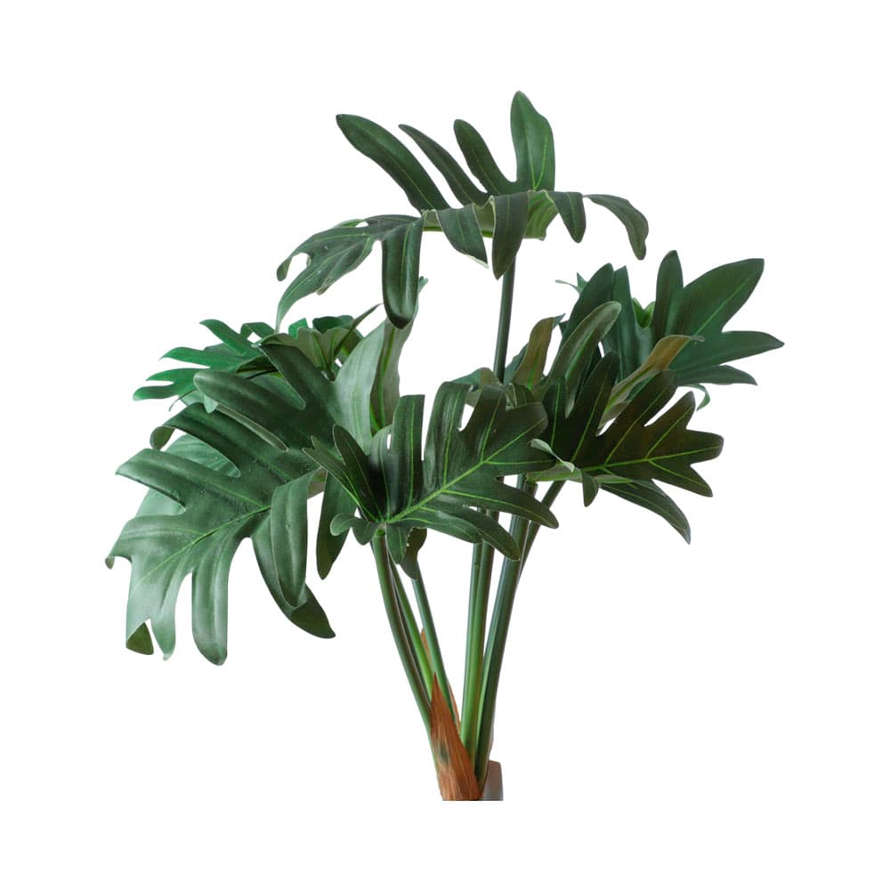 Anúncio: PLANTA ARTIFICIAL CONCEPTS 420-592932 41 CM
