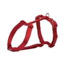 Anúncio: ARNÉS PARA PERROS TRIXIE 204803 PREMIUM XXS-XS RED