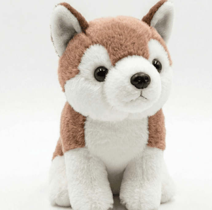 Anúncio: Original Peluche Perro Husky MZ-306 24 Cm Marron