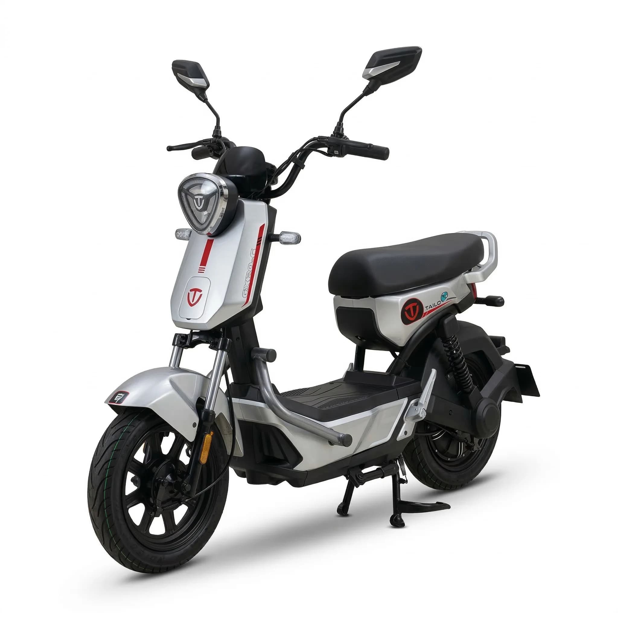Anúncio: Moto Elétrica Tailg GX30G 1000W - PRATA