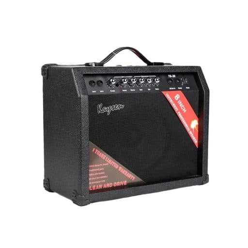 Amplificador de Guitarra Kaysen Tg-30
