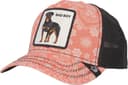 Anúncio: Boné Goorin Bros 101-0948 Lovesexy Bad Boy Pink