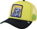 Anúncio: BONE GOORIN BROS DOGGY TRIP 101-1037 YEL