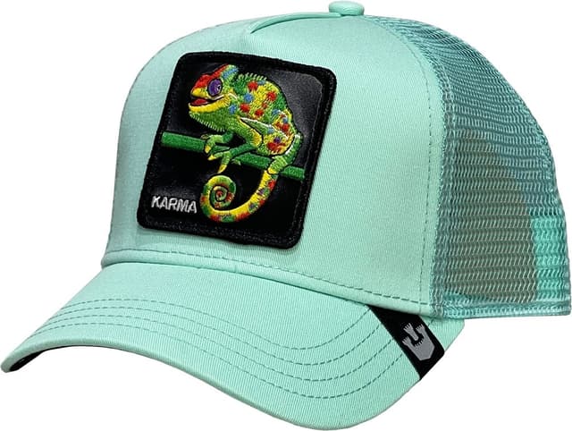 Boné Goorin Bros The Karma Chameleon 101-1660 - Mint