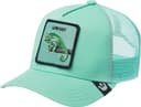 Anúncio: Boné Goorin Bros The Low Key Chameleon 101-1686 - Sage