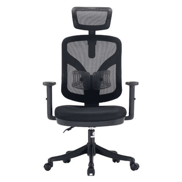 Cadeira de Escritório Sihoo M56-301 com Encosto de Cabeça e Suporte Lombar - Preto
