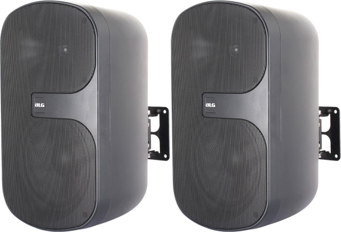Caixa de Som Passiva Blg Wsp-6IP 6.5" 120W Par