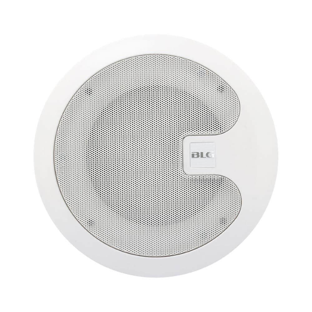 Caixa de Som Blg Csp-6 Passiva