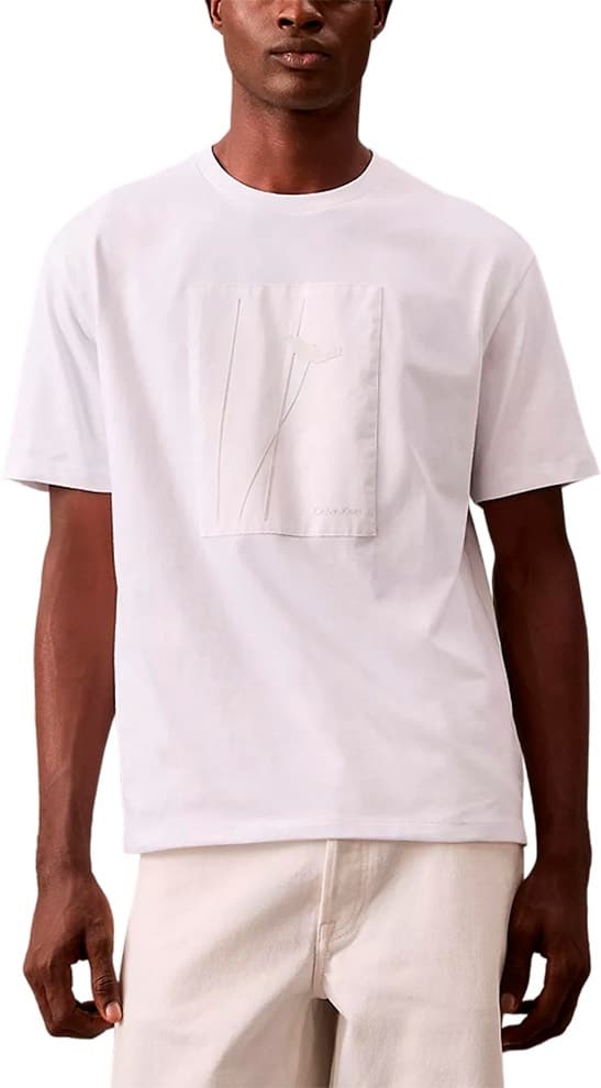 Camiseta Masculina Calvin Klein 40Bm855110