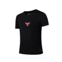 Camiseta Fexpro Masculina Basketball Bulls NBATS5250BK1