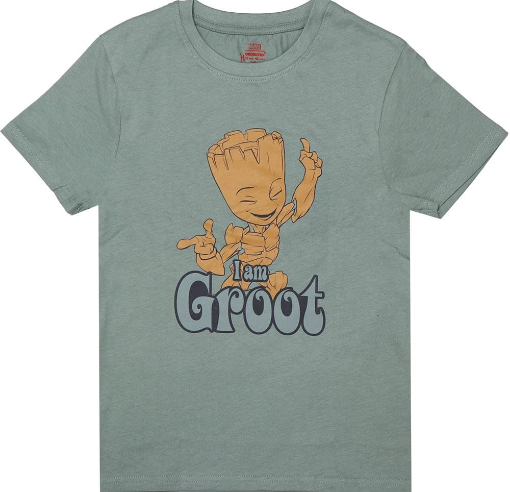 Camiseta Masculina Orchestra Groot