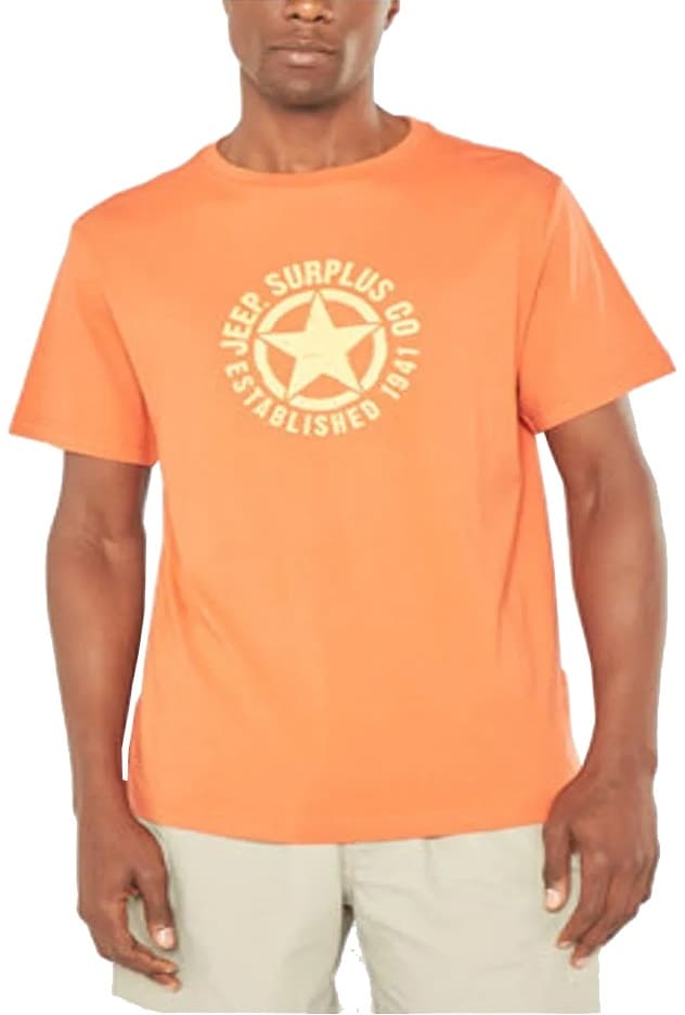 Camiseta Masculina Jeep Jms23213
