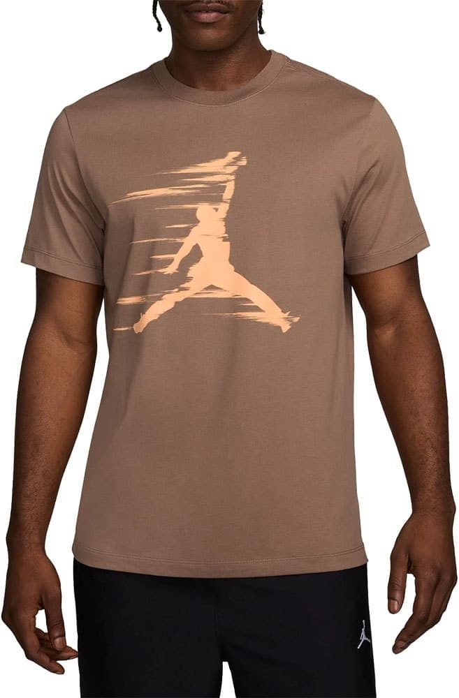 Camiseta Nike Jordan Fz1919 223 Masculina