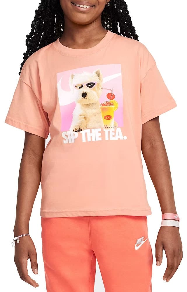 Camiseta Nike Feminina Hq2337 844