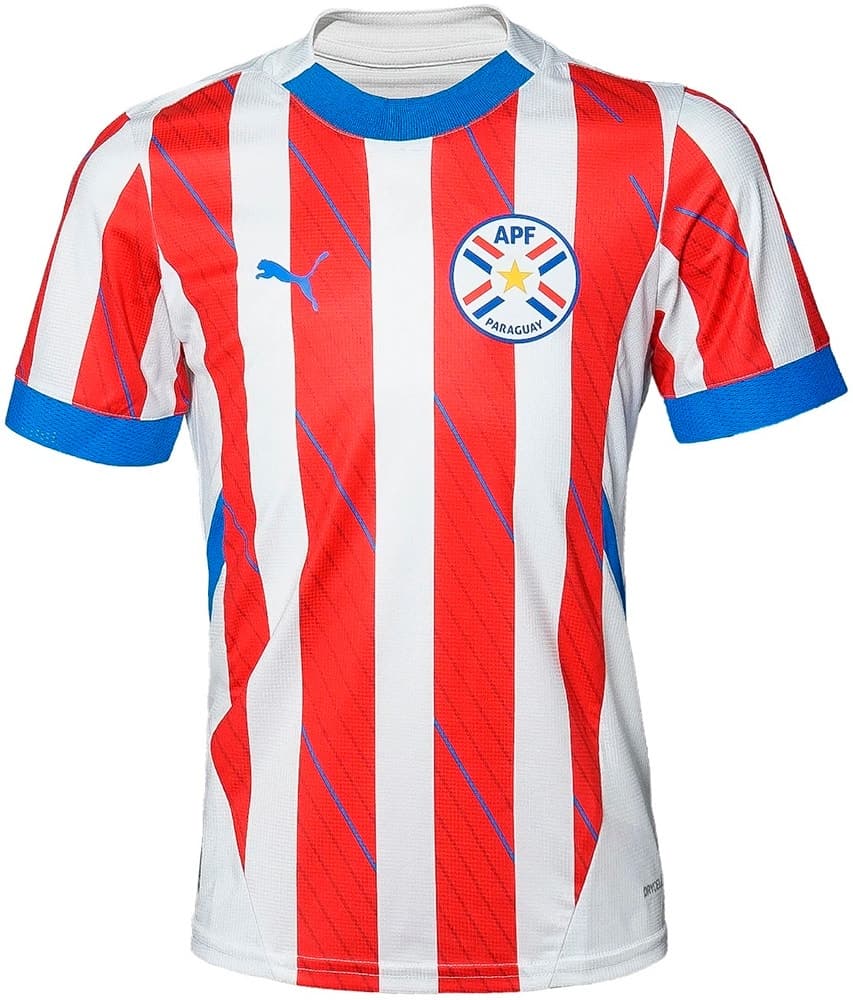 Camiseta Puma Masculina