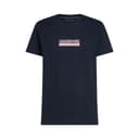 Camiseta Tommy Hilfiger Masculino MW0MW38079
