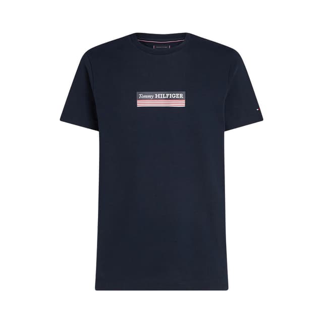 Camiseta Tommy Hilfiger Masculino MW0MW38079