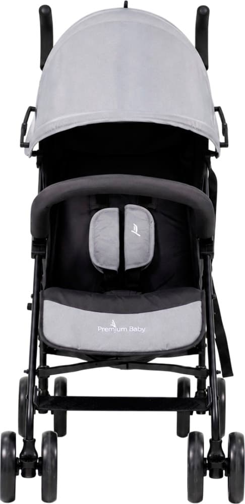 Carrinho de Bebê Premium Baby Pb-S103GR