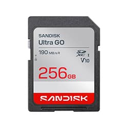 Cartão de Memória SanDisk Sdsdugn-256G-GN6IN Ultra Go U1 FHD V10 Classe 10 256GB