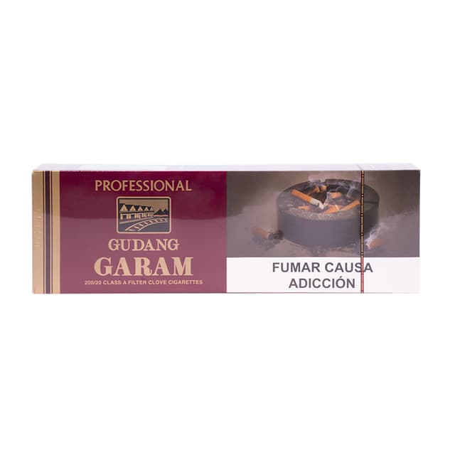 Cigarro Gudan Garam Cravo 10 X 20