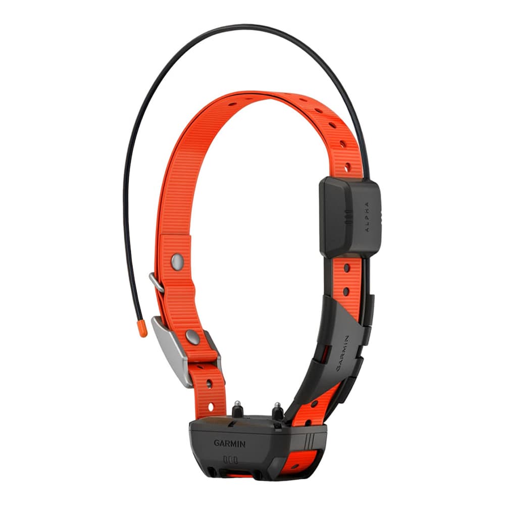 Coleira Garmin para Cachorro Tt25 T20 com 1 Atm, Galileo, GPS, Murs e Até 14.5Km Laranja e Preto