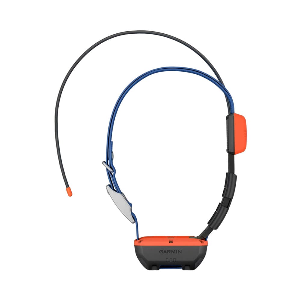 Coleira para Cachorro Garmin Alpha T20 GPS