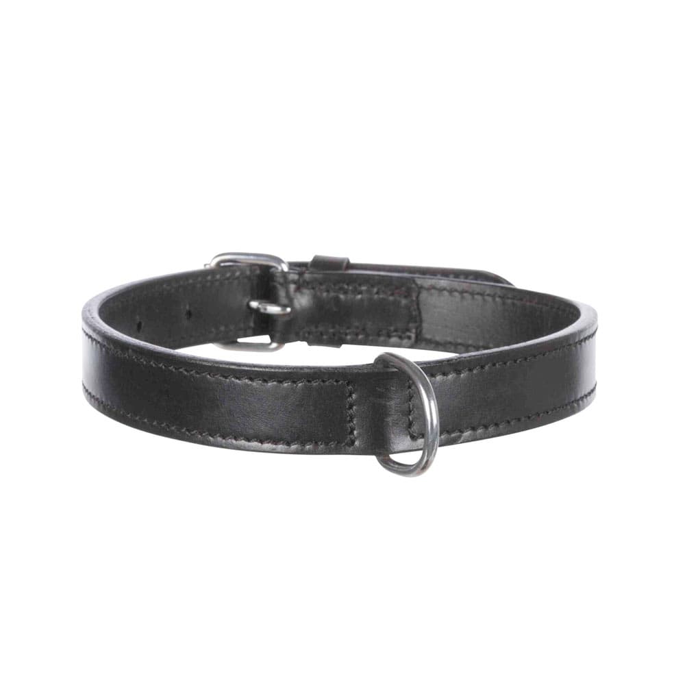 Coleira para Cachorro Trixie 36-43CM