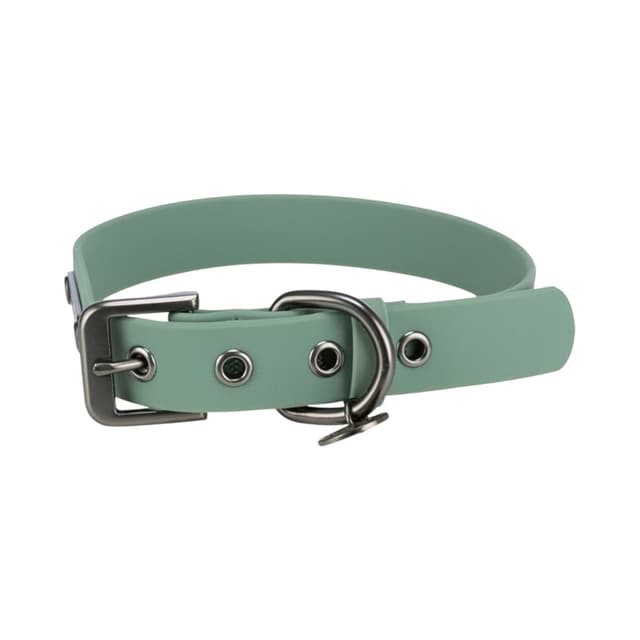 Coleira para Cachorro Trixie City Style Tamanho L-Xl 50-57CM Salvia