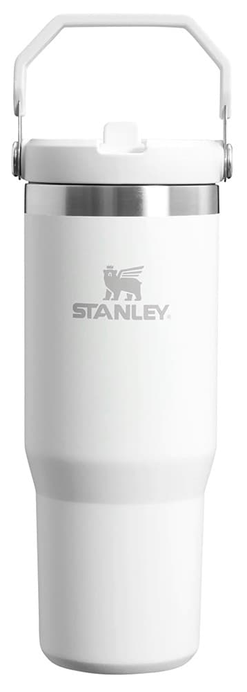 Copo Térmico com Bico Stanley Classic The IceFlow 10-09993-041 (887mL) Polar